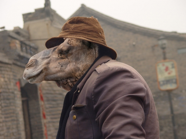 Creation of Smoking Camel: Step 4